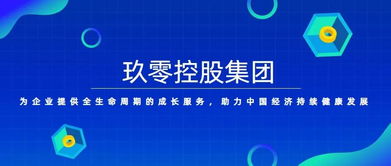 玖零控股集團 以專業(yè)咨詢賦能企業(yè)，驅(qū)動管理變革與價值增長