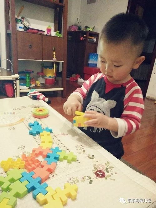拼插類玩具哪家強之拔草專區 盤點李大榮不愛玩的那些拼插玩具